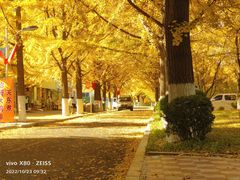 -辽东学院(南校区)