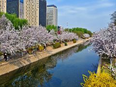 -海棠花溪(元大都城垣遗址公园)