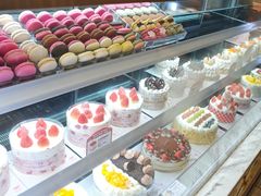 -TOUCH泰奇(奉贤宝龙城市广场店)