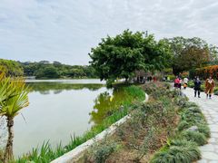 -东莞植物园