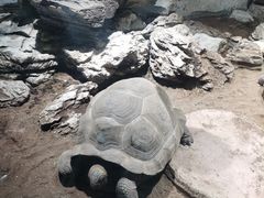 -杭州野生动物世界