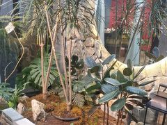 -陈熹公民族美食文化餐厅(中华广场店)