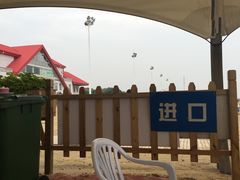 -碧海金沙