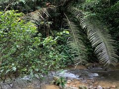 -通灵大峡谷