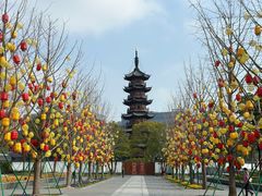 -龙华素斋(龙华路店)