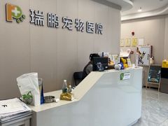-瑞鹏宠物医院·骨科·猫科·内科(第一中心)