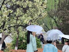 -西安青龙寺遗址景区