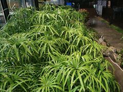 -蘇河湾·新鲁菜·泰山宴(泰山店)