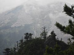 -朱雀国家森林公园