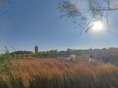 -永定河休闲森林公园