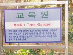 -汉拿树木园