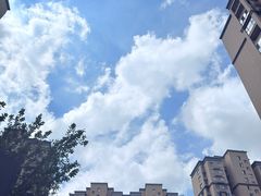 -古萧汪家羊肉馆(淮北四马路店)