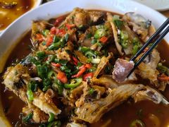 -全乐鱼馆·淳牌有机鱼直营店