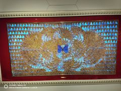 -上海昆虫博物馆