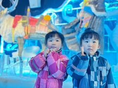 -海合安成都极地海洋公园