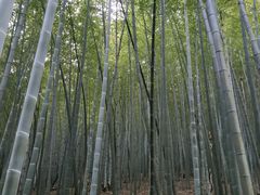 -穹窿山景区