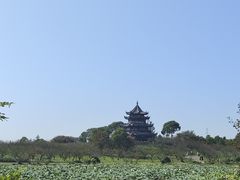 -上海海湾国家森林公园