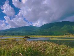 -腾冲北海湿地