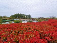 -西海岸生态观光园