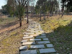 -梁鸿国家湿地公园