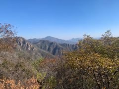 -大岭沟猕猴桃谷风景区