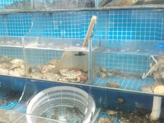 -宾朋海鲜特色美食餐厅·纯手工鲅鱼水饺(兴海路店)