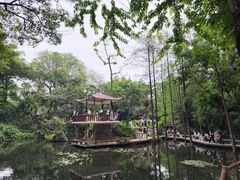 -广州兰圃