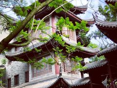 -龙潭水乡