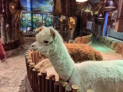 -宝燕乐园(闵行旗舰店)