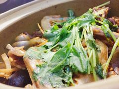 田螺鹅掌煲-食爺炭炉鸡煲·烧烤