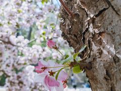 -元大都城垣遗址公园