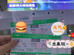 -张家界荷花国际机场航站楼-国内出发