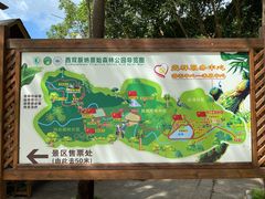 -西双版纳原始森林公园