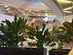 -Shantek象提南亚餐厅&西餐融合Bistro(淮海中路店)