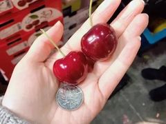 -江杨农产品批发市场