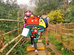 -樱桃山旅游景区