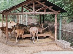 -青藏高原野生动物园