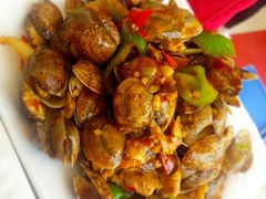 辣炒花蛤-渔民船说·北塘海鲜·天津菜·海肠捞饭(北塘古镇店)
