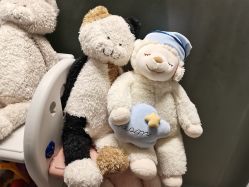 -明宇集团·积木枝芽母婴健康管理中心(天府店)