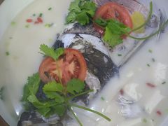 -全乐鱼馆·淳牌有机鱼直营店