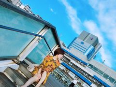 -台场海滨公园船码头