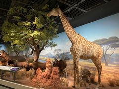 -陕西自然博物馆