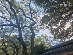 -普陀山风景名胜区-法雨禅寺