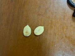 -栗粒香(贵阳路总店)