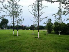 -眉山湿地公园(东坡区)