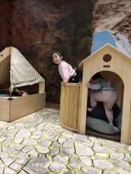 -卡通尼·Safari非洲探索乐园·生日会(金桥国际商业广场店)