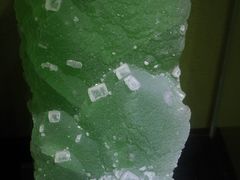 -中华赏石园