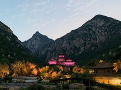 -禅宗少林·音乐大典