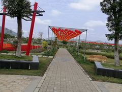 -芒洲湿地公园