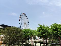 -百万葵园